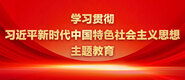 日逼69网学习贯彻习近平新时代中国特色社会主义思想主题教育_fororder_ad-371X160(2)